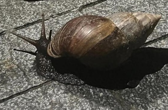 �㶫����������ţ���ģ�ר�����ѣ�ǧ��������